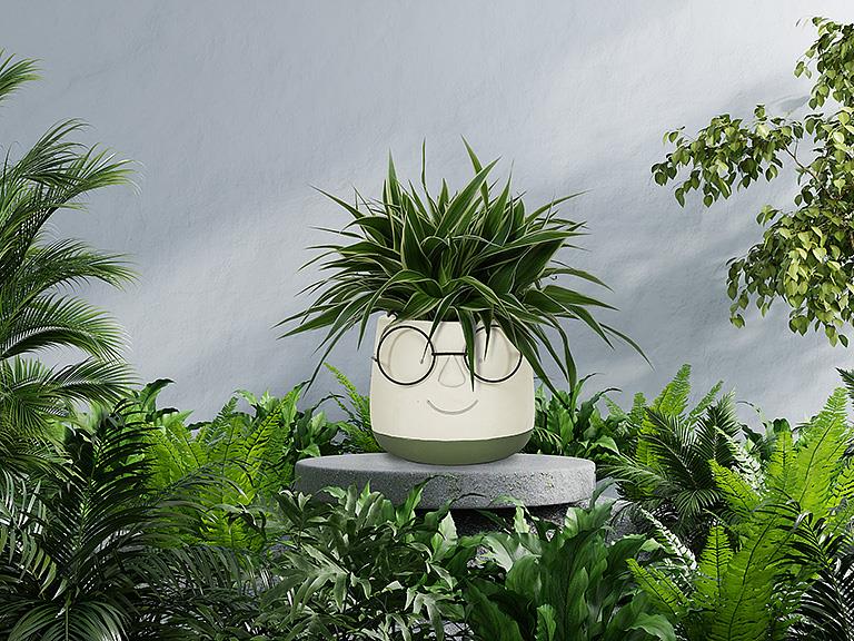 Large Face Planter with Glasses